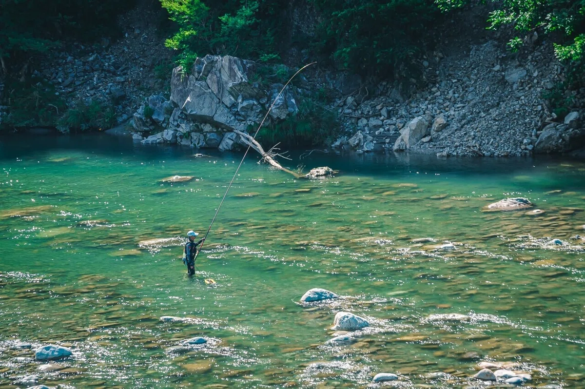 画像11