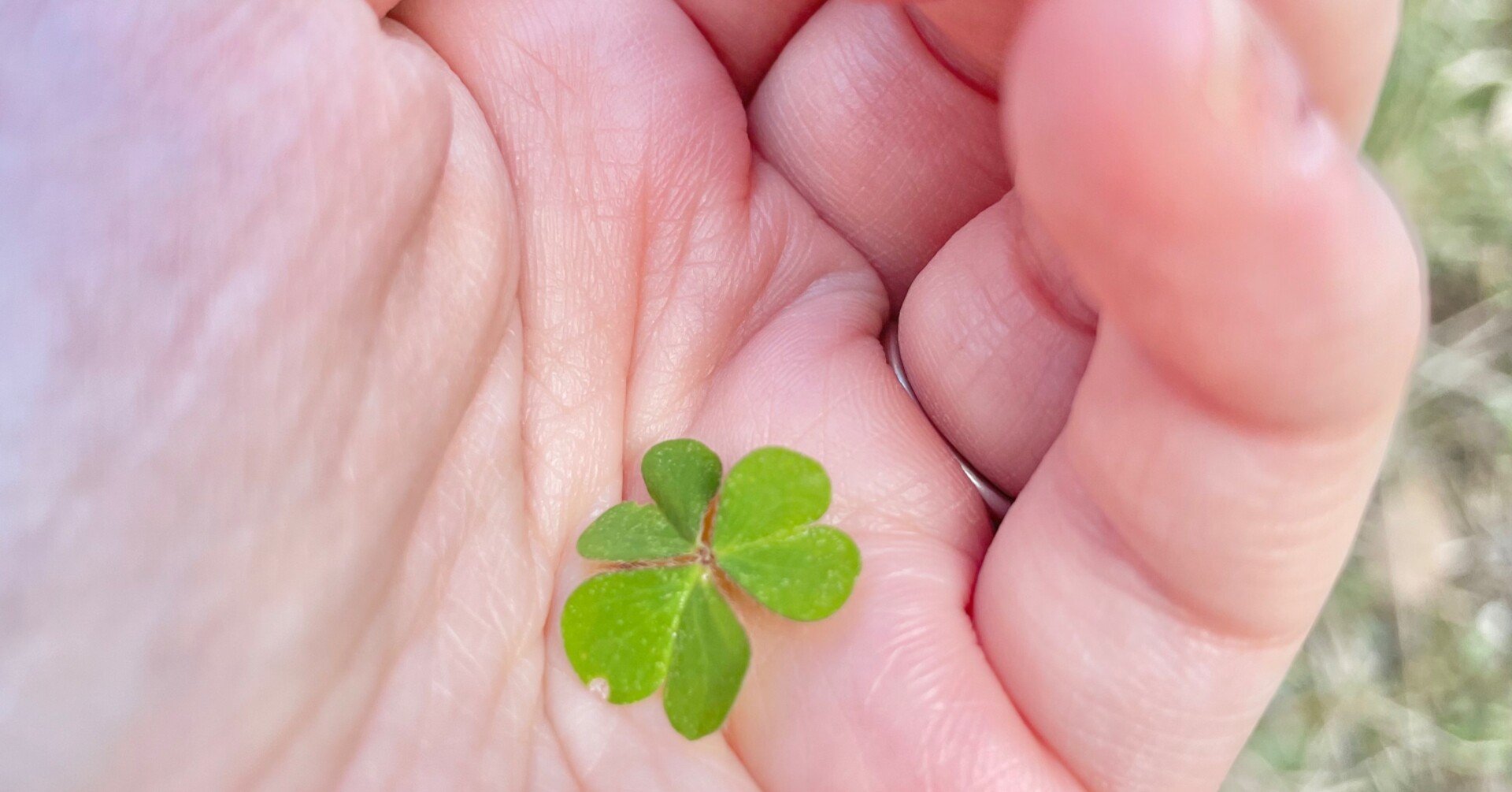 16d922651f55150488adfbe22719ab