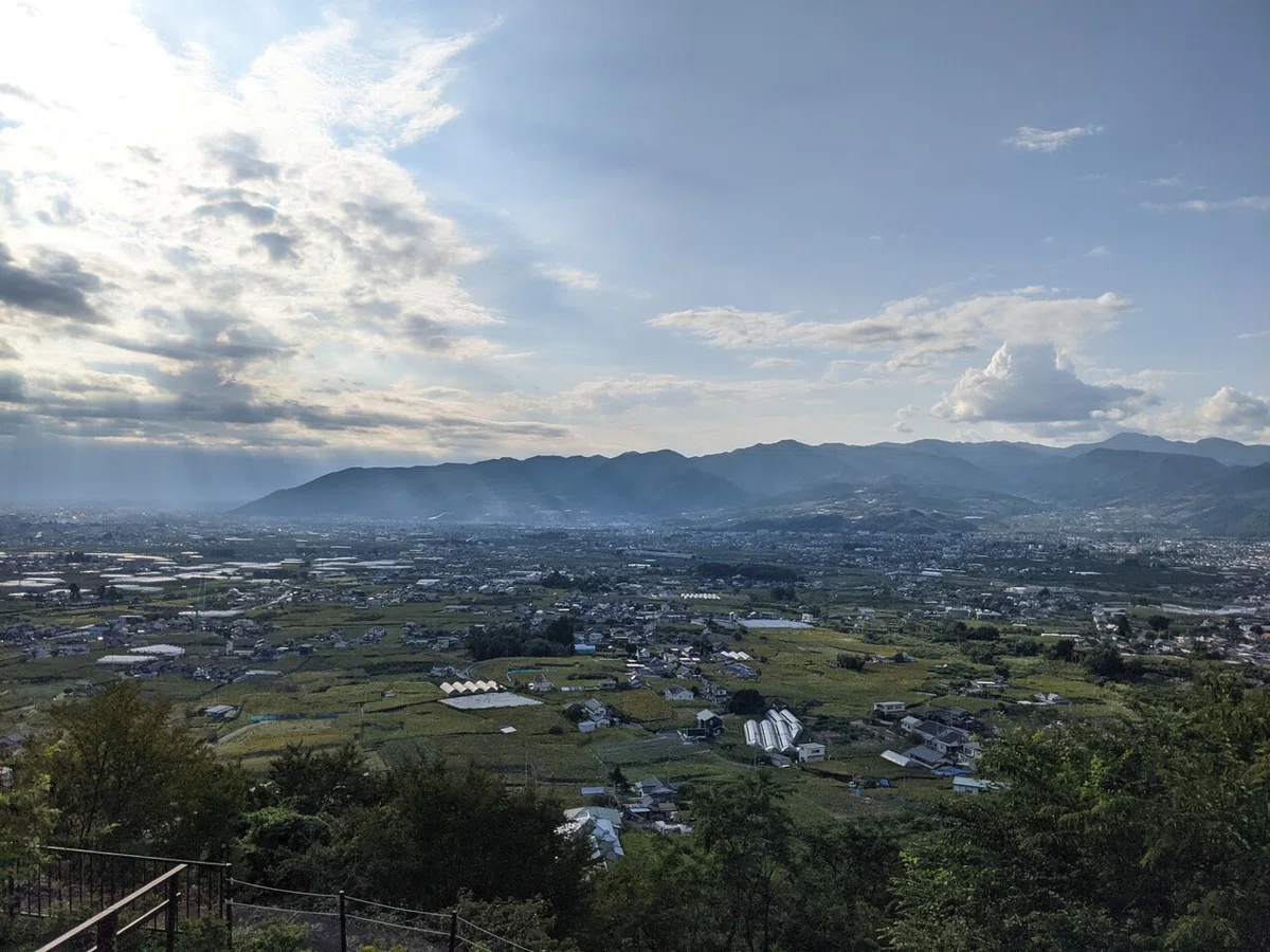 画像16