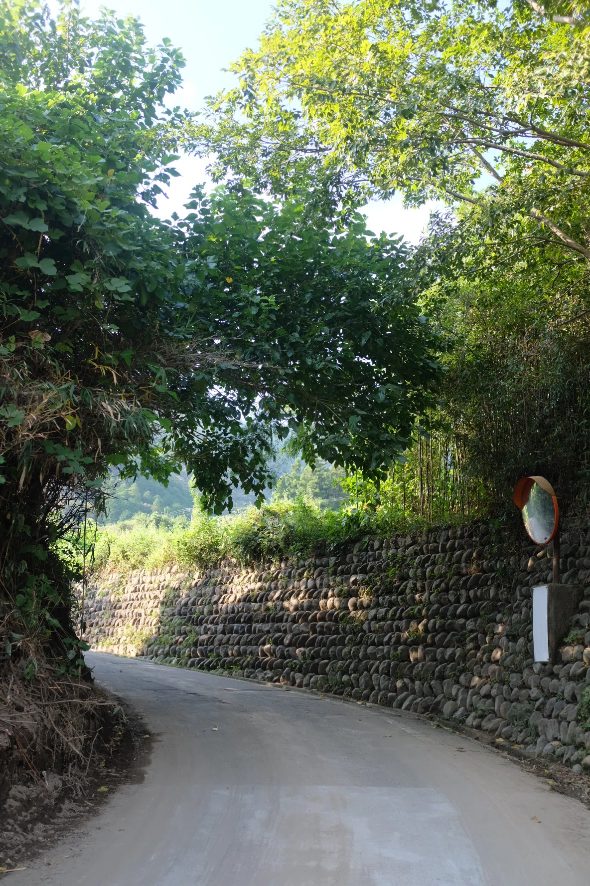 画像40