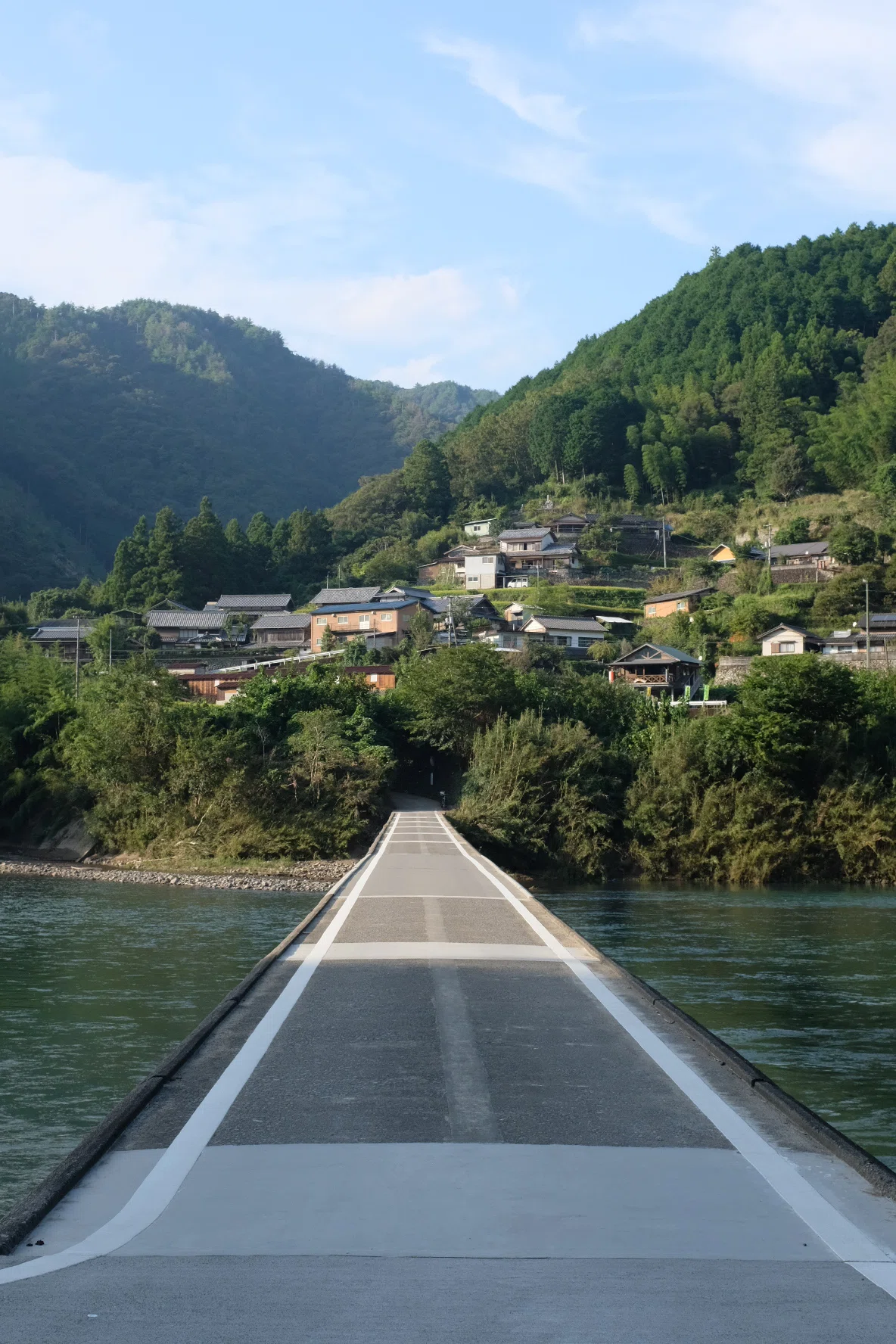画像41