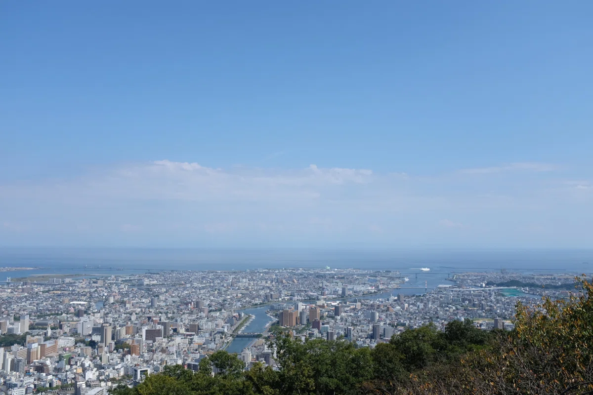 画像49