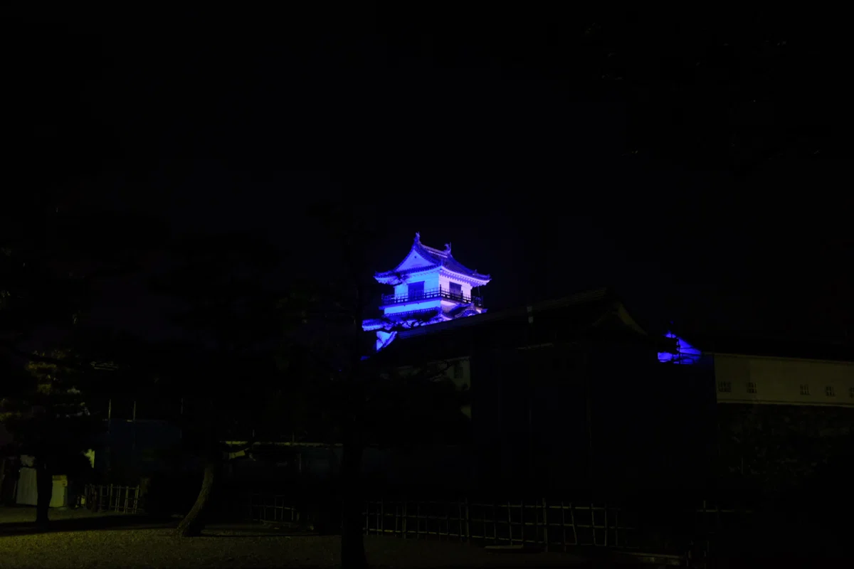 画像42
