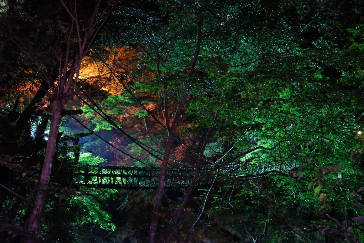 画像48