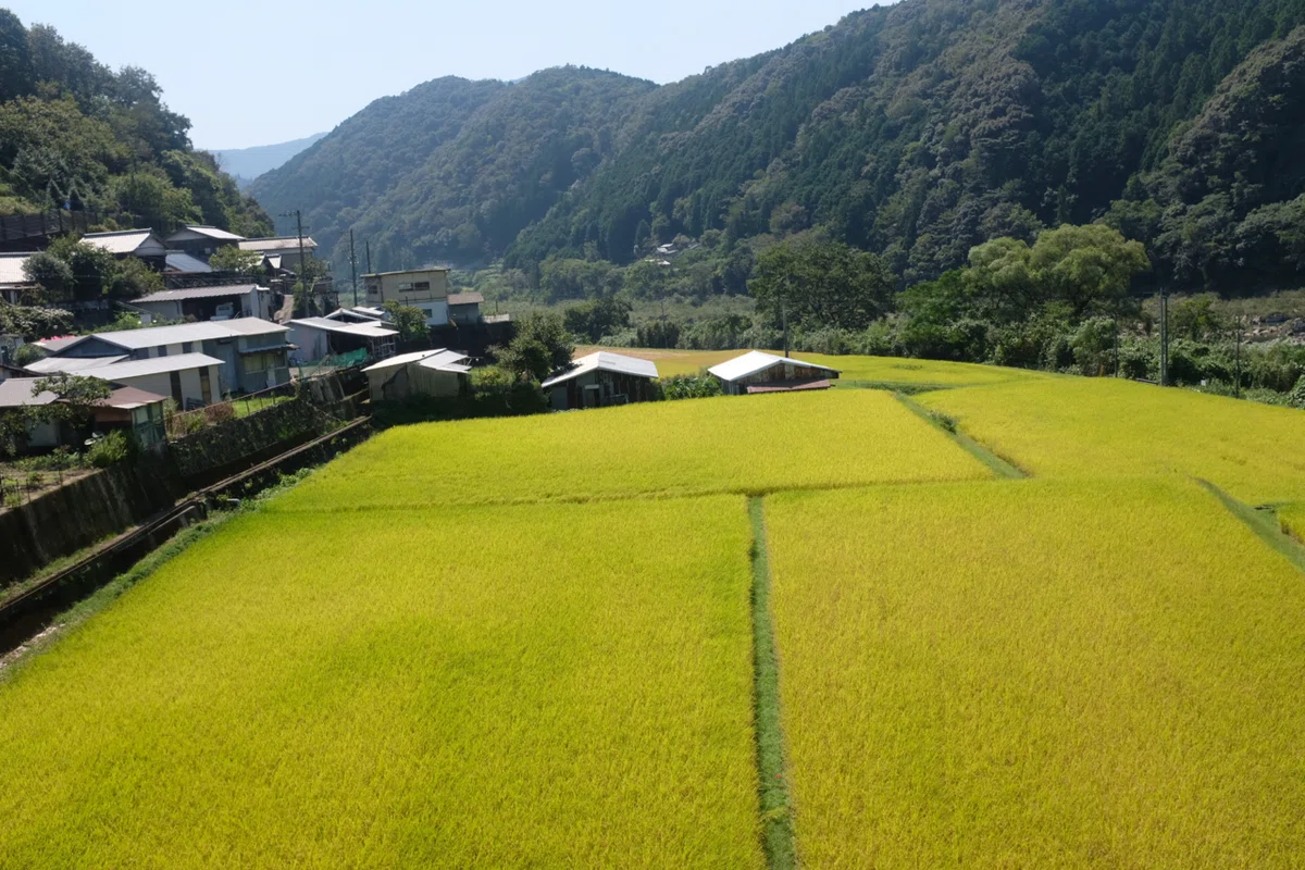 画像120