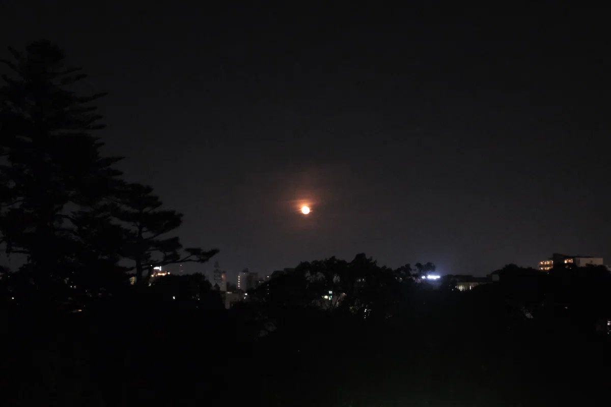 画像121