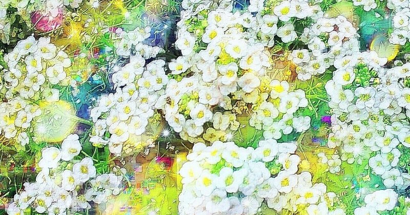 作品: 路傍の花 虹の風 Roadside flowers rainbow wind : 戒's gallery