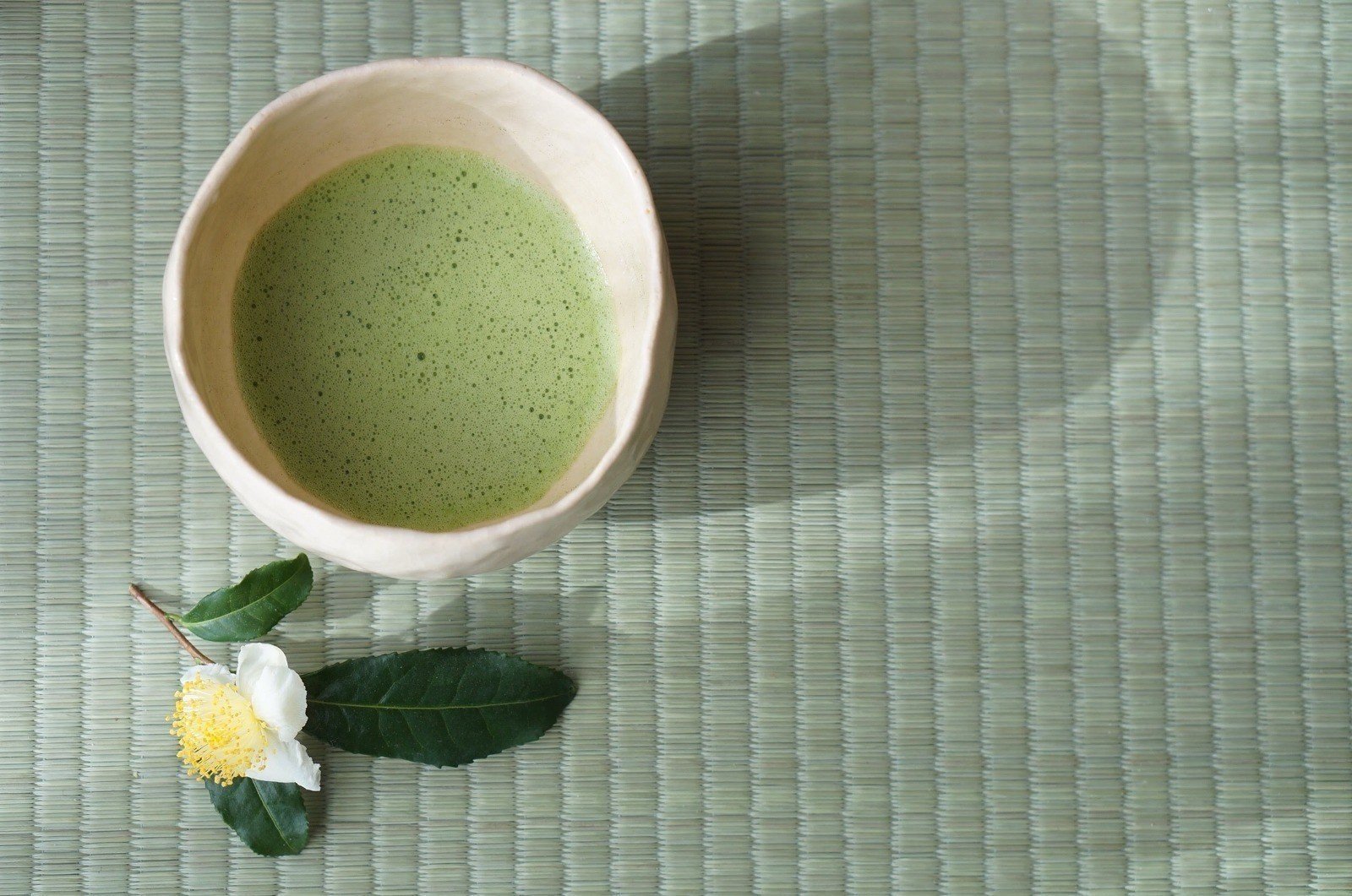 矢島 愛子 / Teaist🍵｜note