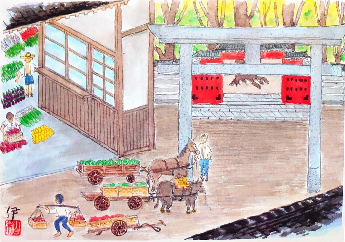 青果市場②絵