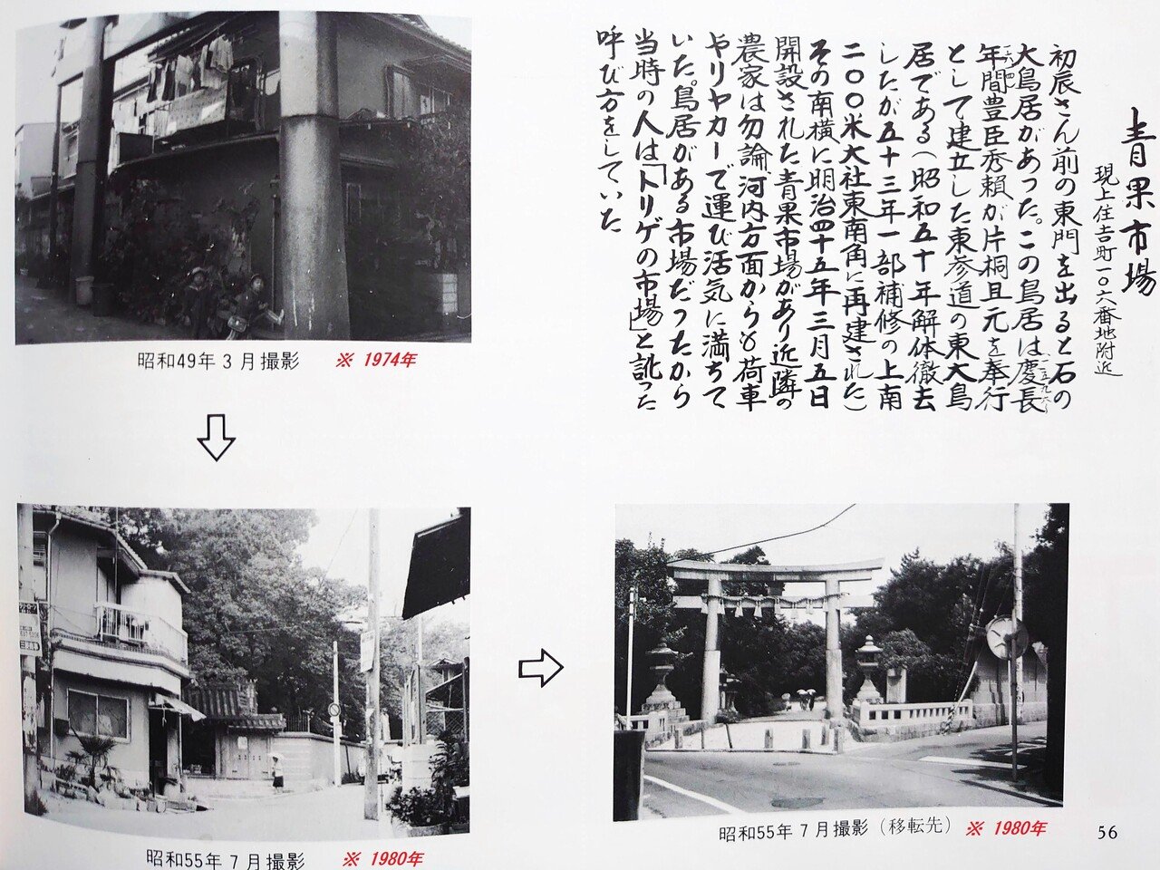 住吉界隈いま・むかし②【青果市場】｜きむいさ