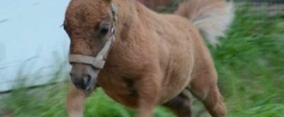 4 金 地方競馬 鉄板軸馬 予想6レース ふじもん競馬予想 Note