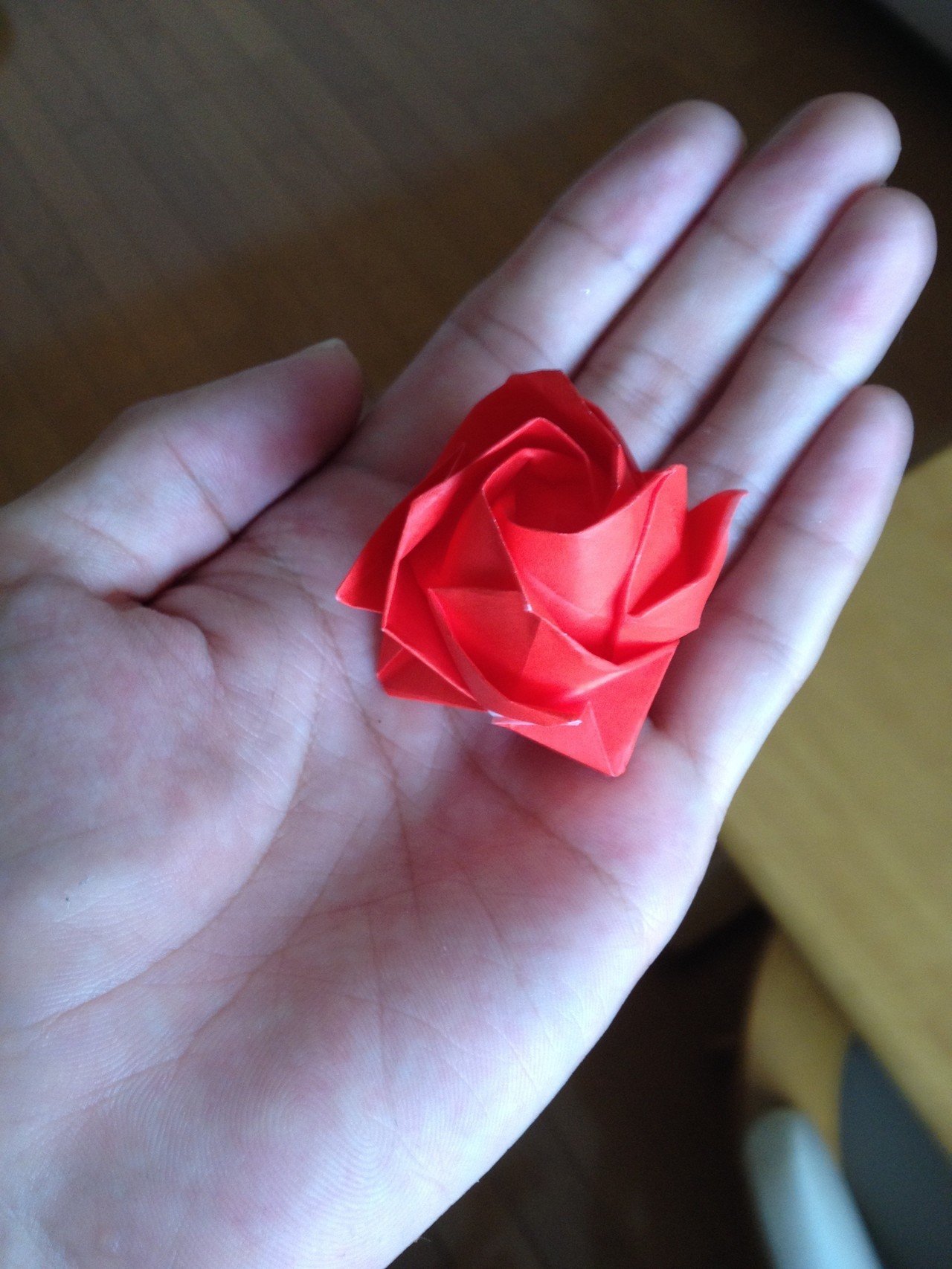 薔薇とダンボー りおん Note