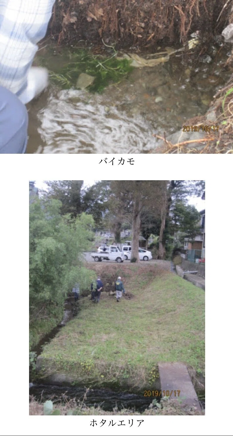 画像5
