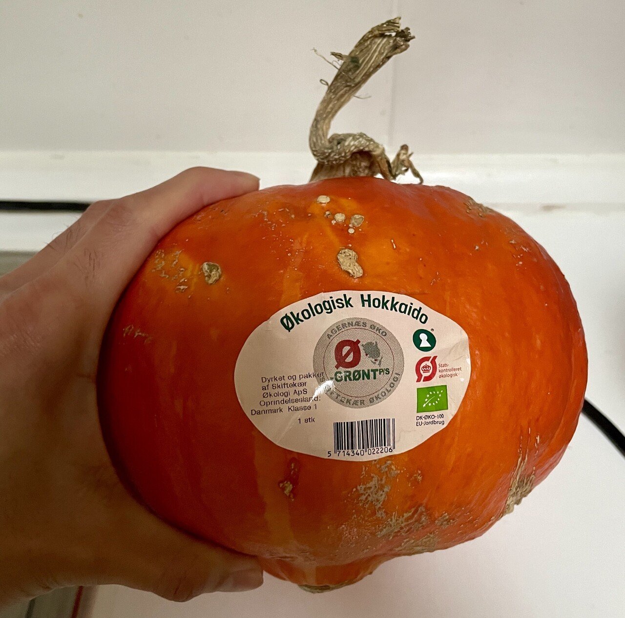 デンマークで食す美味しいhokkaidoカボチャ ひぐち 北欧デンマーク Note デンマークで食す美味しいhokkaidoカボチャ ひぐち 北欧デンマーク Note