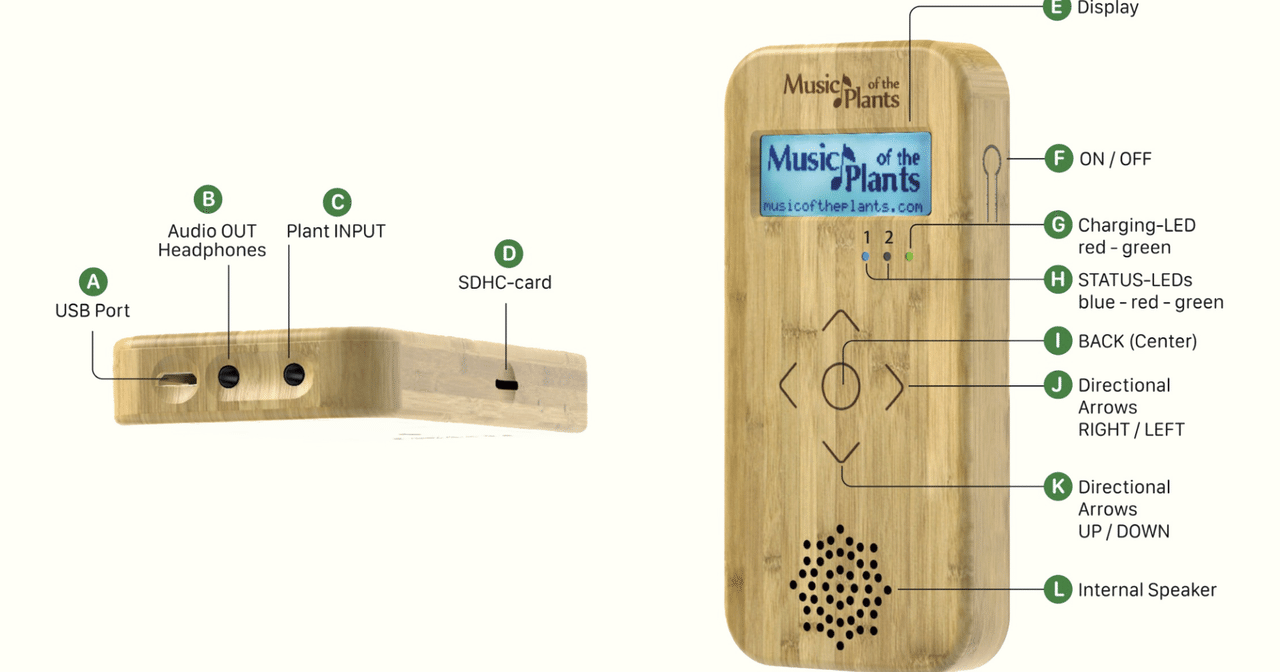 Music of the Plants 【Bamboo Mタイプ】 Music of the Plants 【Bamboo Mタイプ】 ダマヌール「バンブーM」