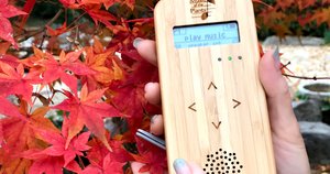 植物の音楽装置「Bamboo」｜Music of the Plants 植物の音楽