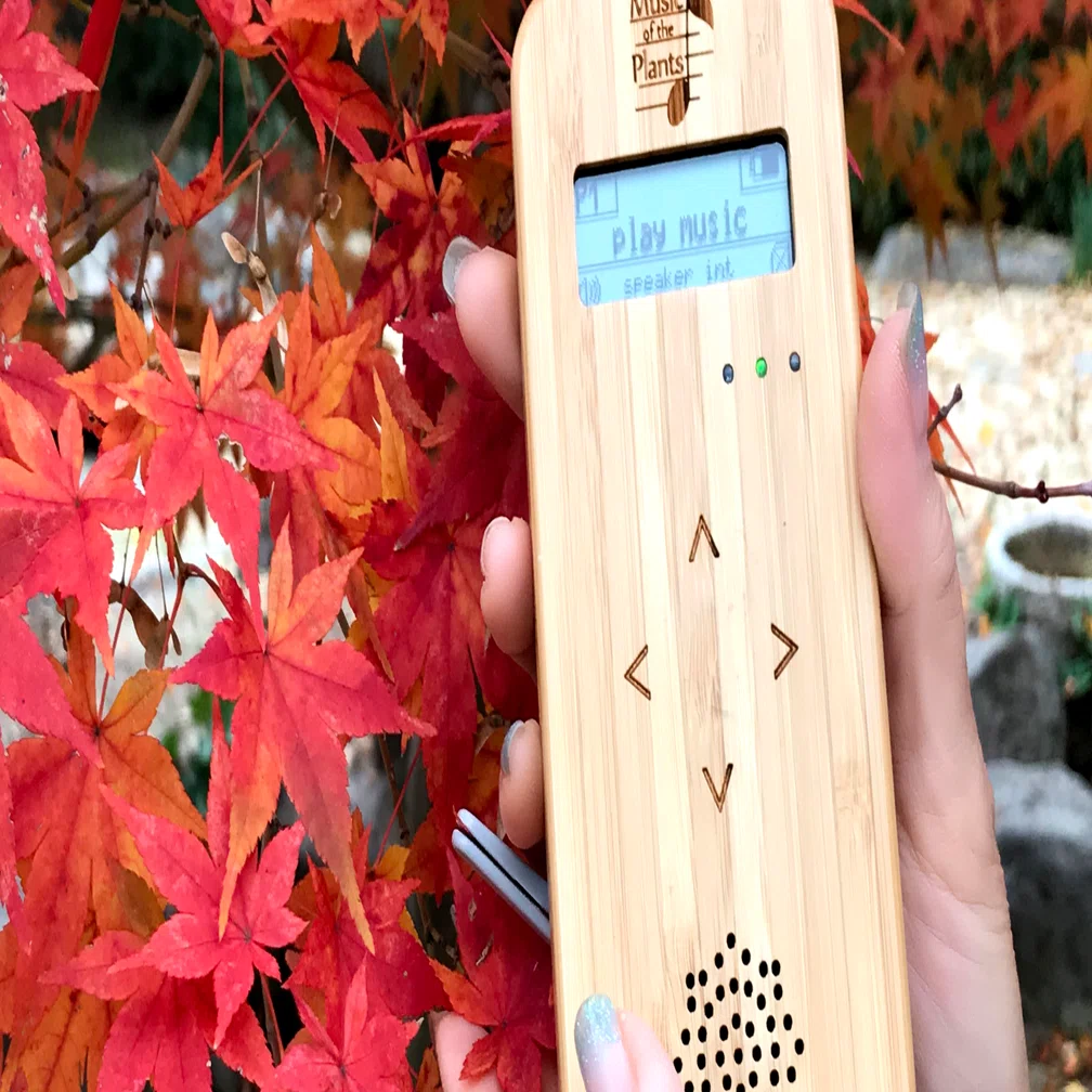 植物の音楽装置Bamboo販売代理店｜Music of the Plants 植物の音楽
