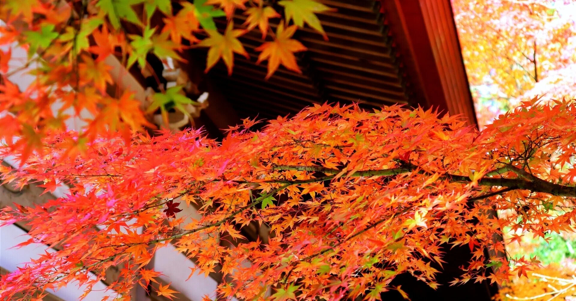 秋 深 し 隣 は 何 を する 人 ぞ