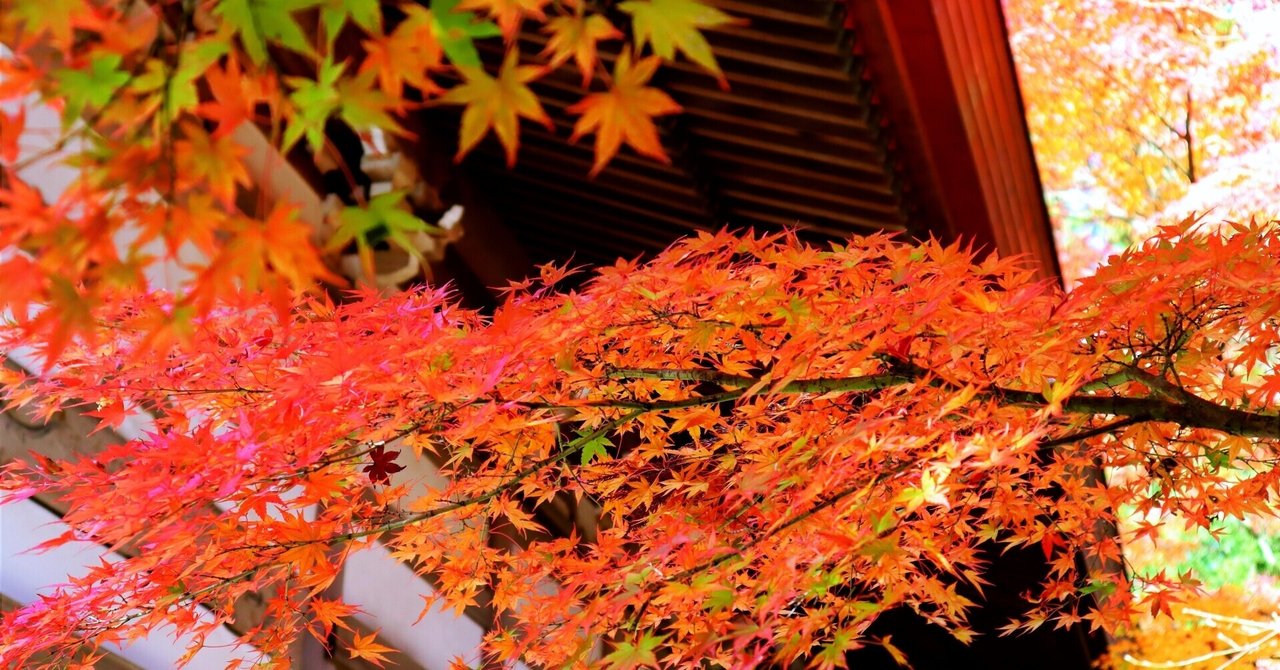 秋深き隣は何をする人ぞ 芭蕉の風景 ほんのひととき Note 秋深き隣は何をする人ぞ 芭蕉の風景 ほんのひととき Note