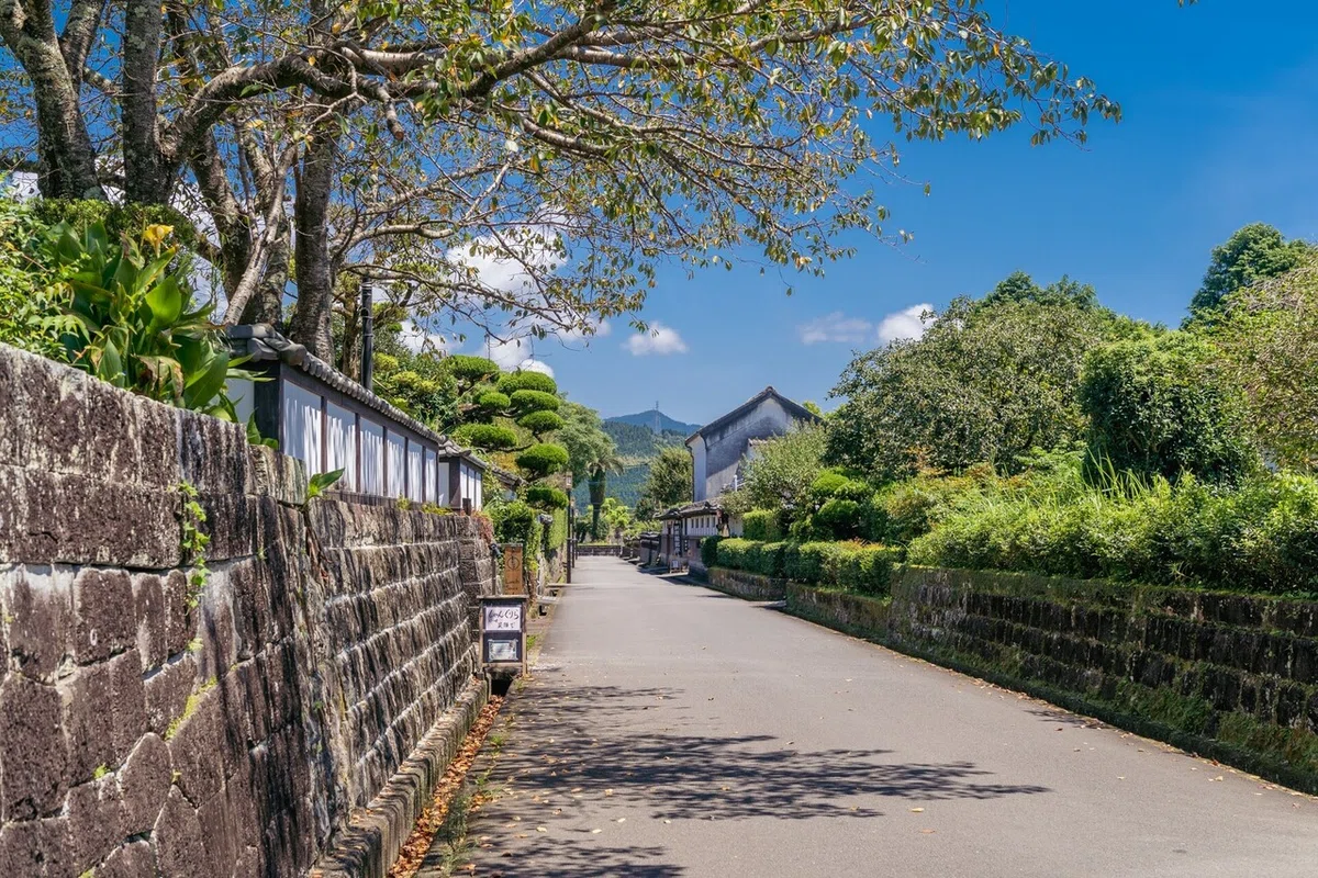画像8