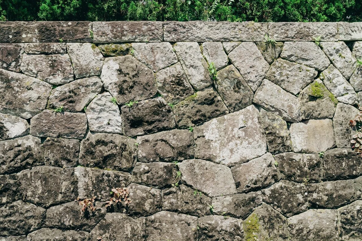 画像11