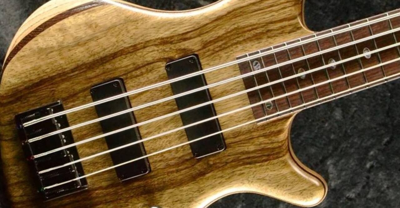 Freedom Custom Guitar Research “Dulake Flat 5st Black Limba Top