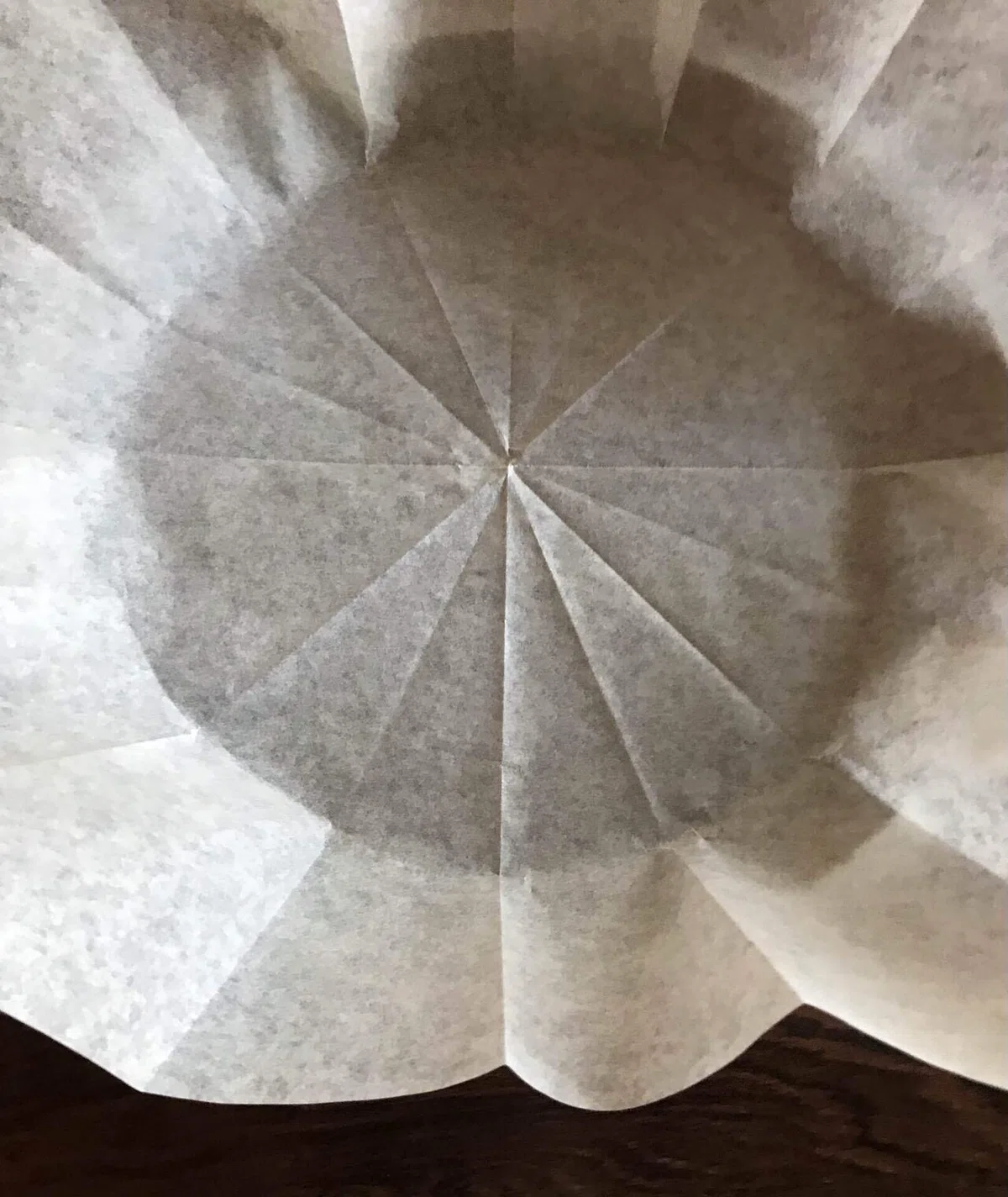 画像16