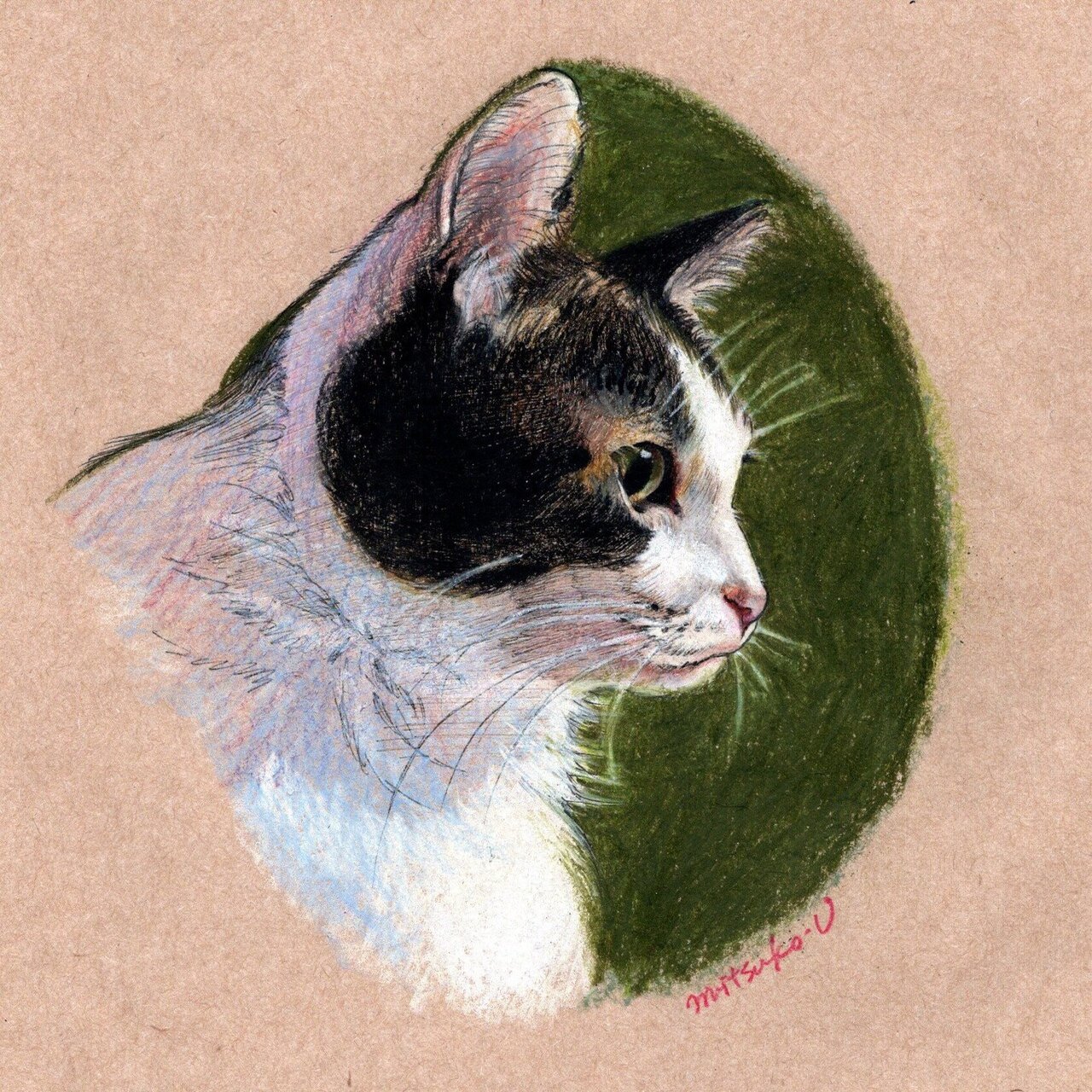 猫の横顔についての考察ー今日も私服がネコの毛まみれ ー 宇佐江みつこ Note
