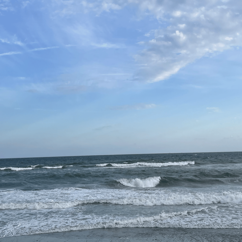 ちょっと近い海 愛知県豊橋市の海 ガジュマル Note