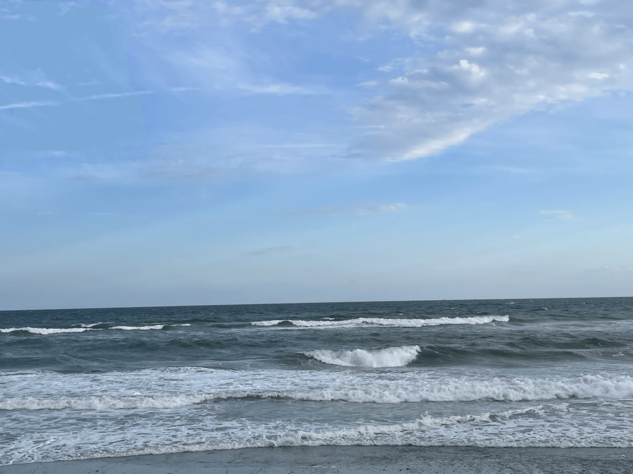 ちょっと近い海 愛知県豊橋市の海 ガジュマル Note ちょっと近い海 愛知県豊橋市の海 ガジュマル Note