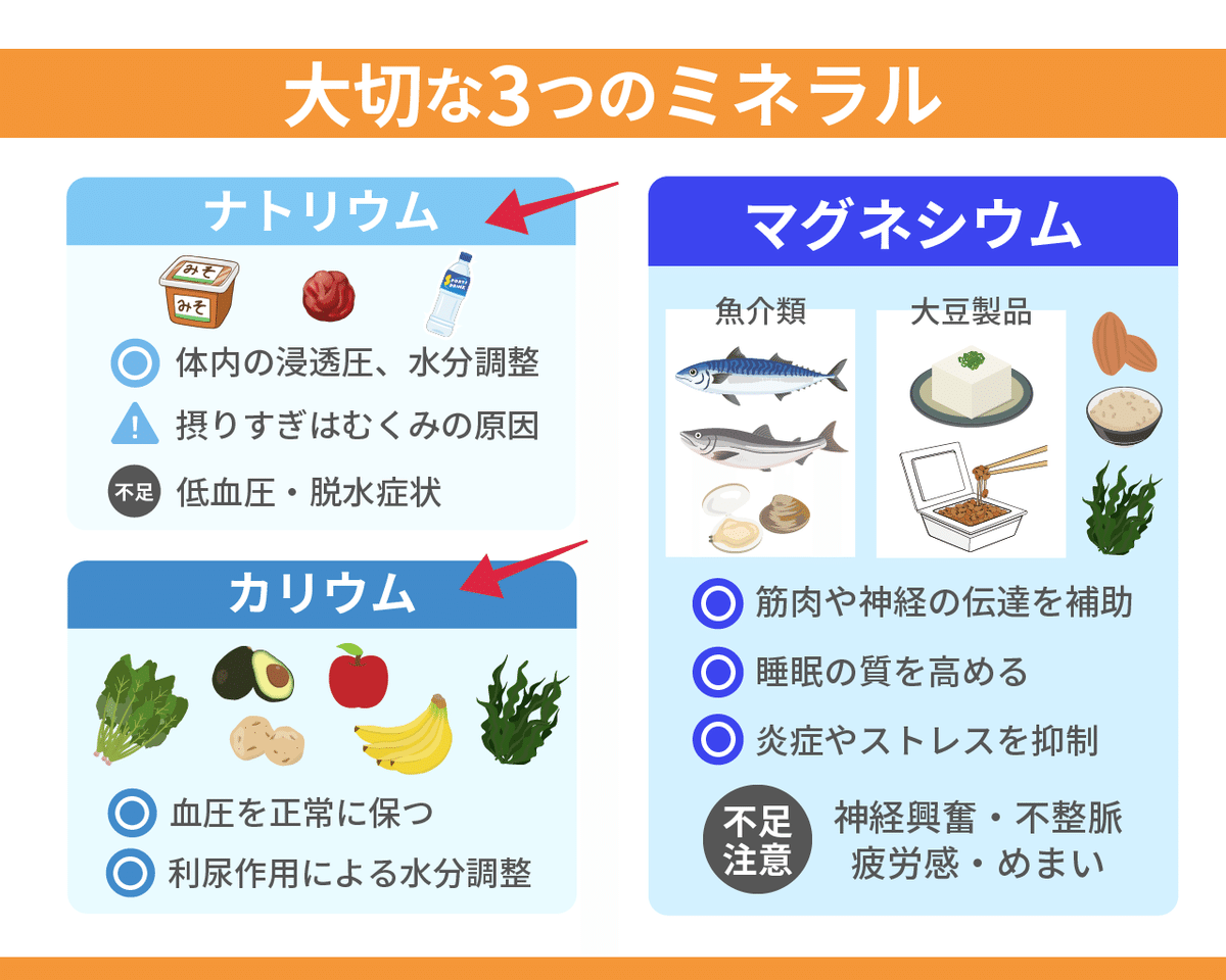 03_大切な3つのミネラル_修正１