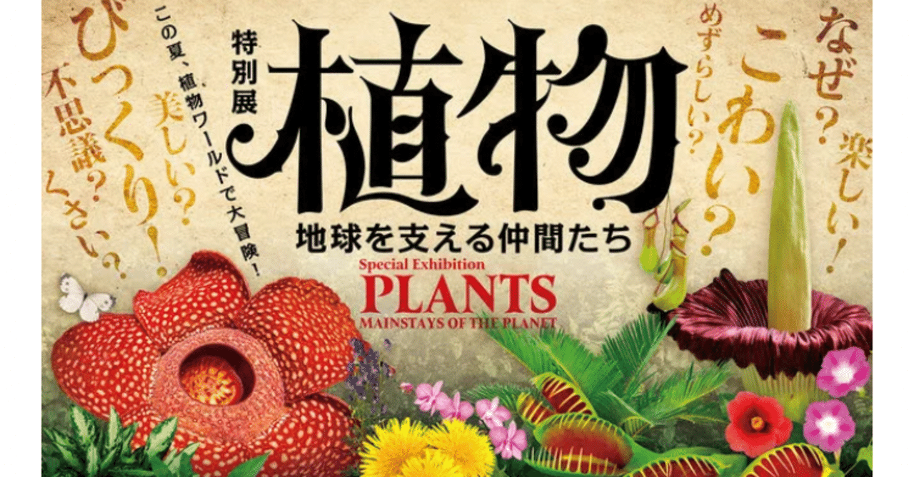 新品未使用【植物展 ラフレシアクッション】おまけ付き