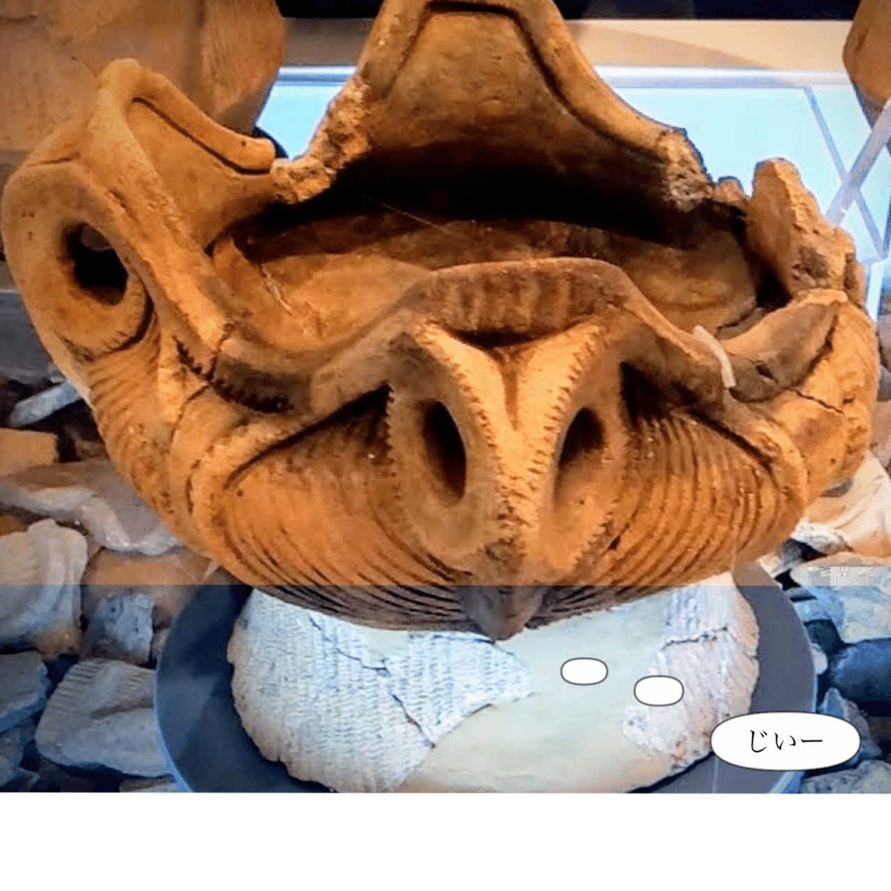 縄文への興味をつないでくれた愛しきヘビ5選｜のんてり