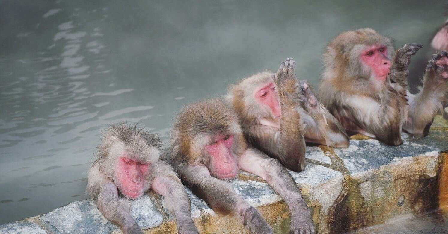 癒しを求めて 大江戸温泉物語グループ 浦安万華郷 へ 羽田理沙 Note 癒しを求めて 大江戸温泉物語グループ 浦安万華郷 へ 羽田理沙 Note