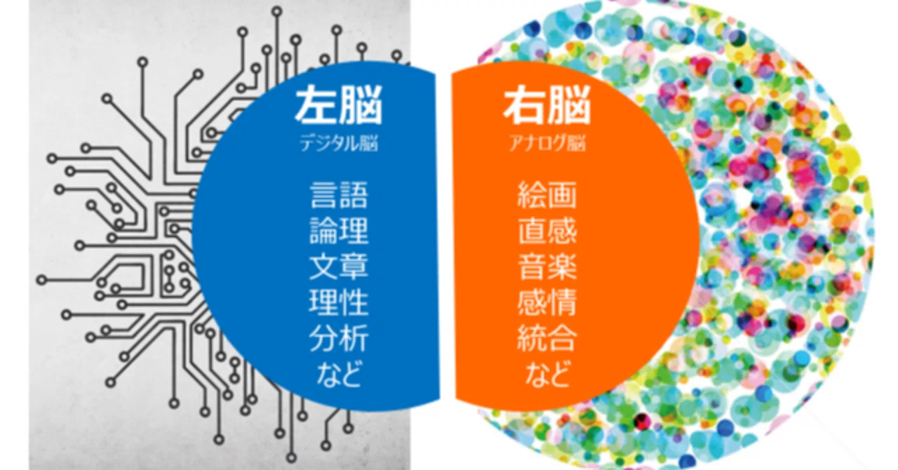 右脳 派 と は