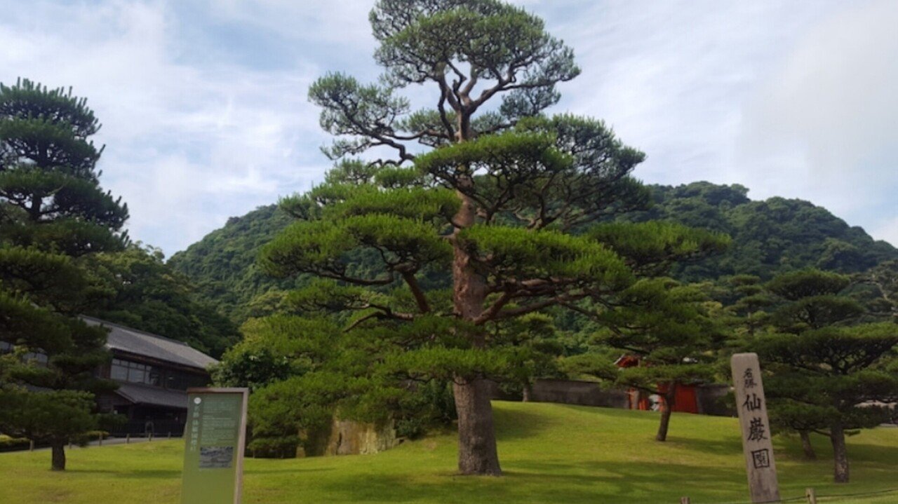 何かと迷惑をかけるあなただけど、それがないとあなたではないん