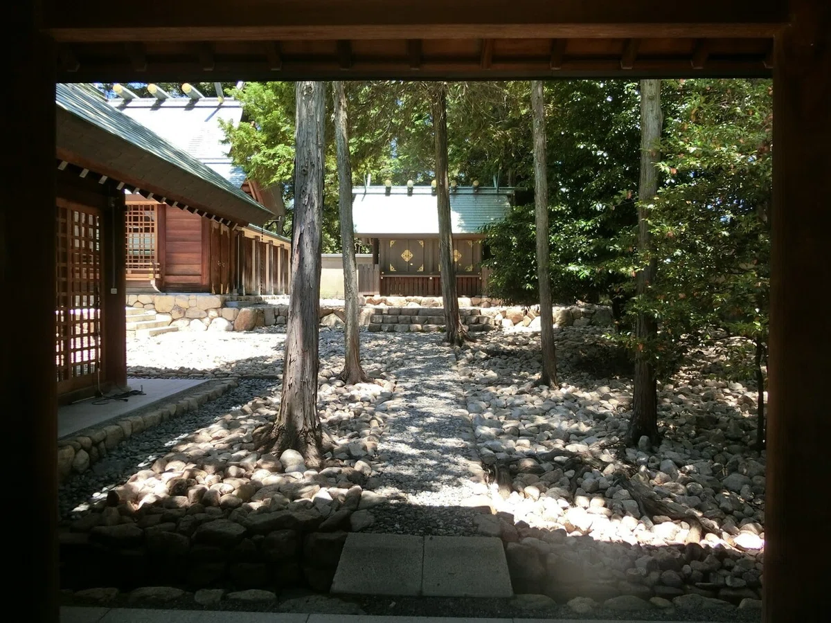 画像5