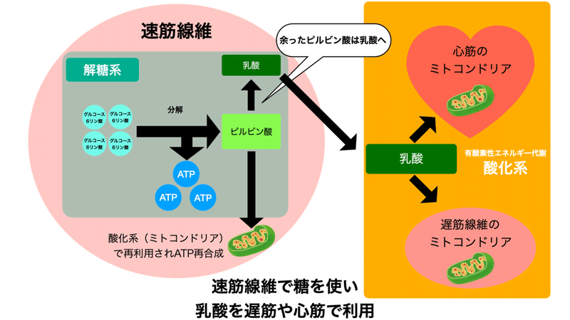 画像12