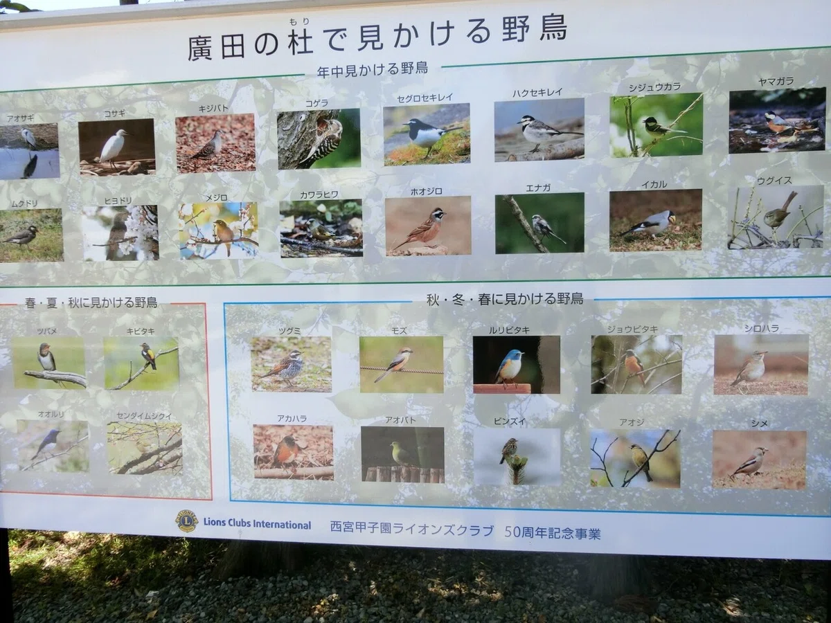 画像15