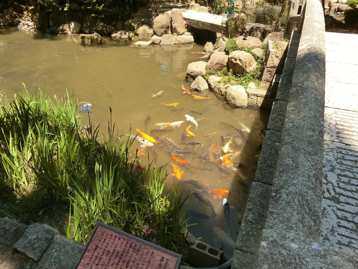 画像34