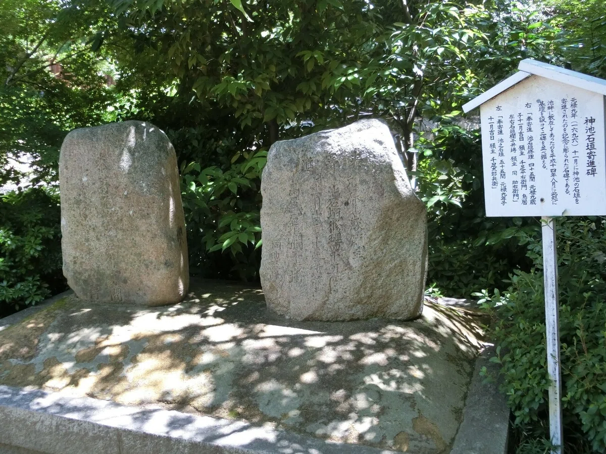 画像36