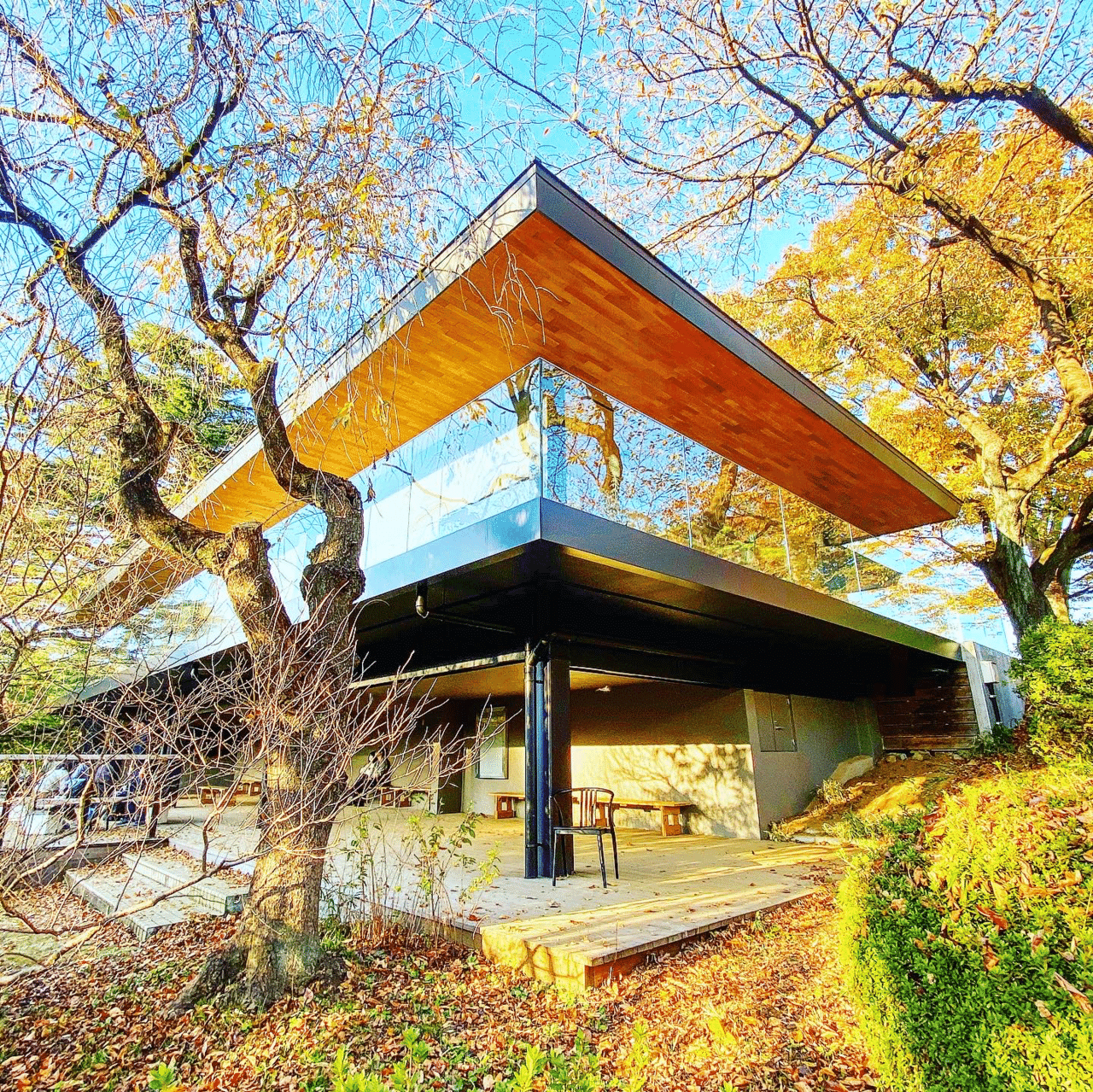 東京建築巡り 森の中のカフェ Tanrock 東京の建築 アート巡りオタク Note