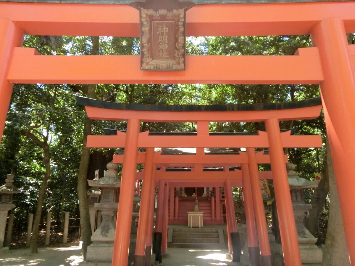 画像40