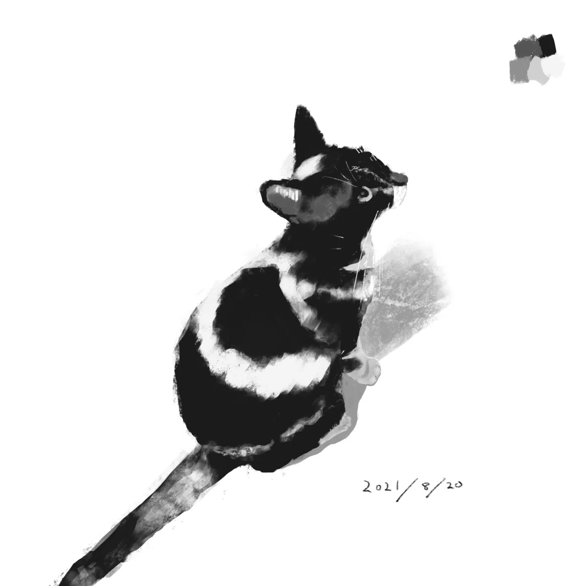 画像4
