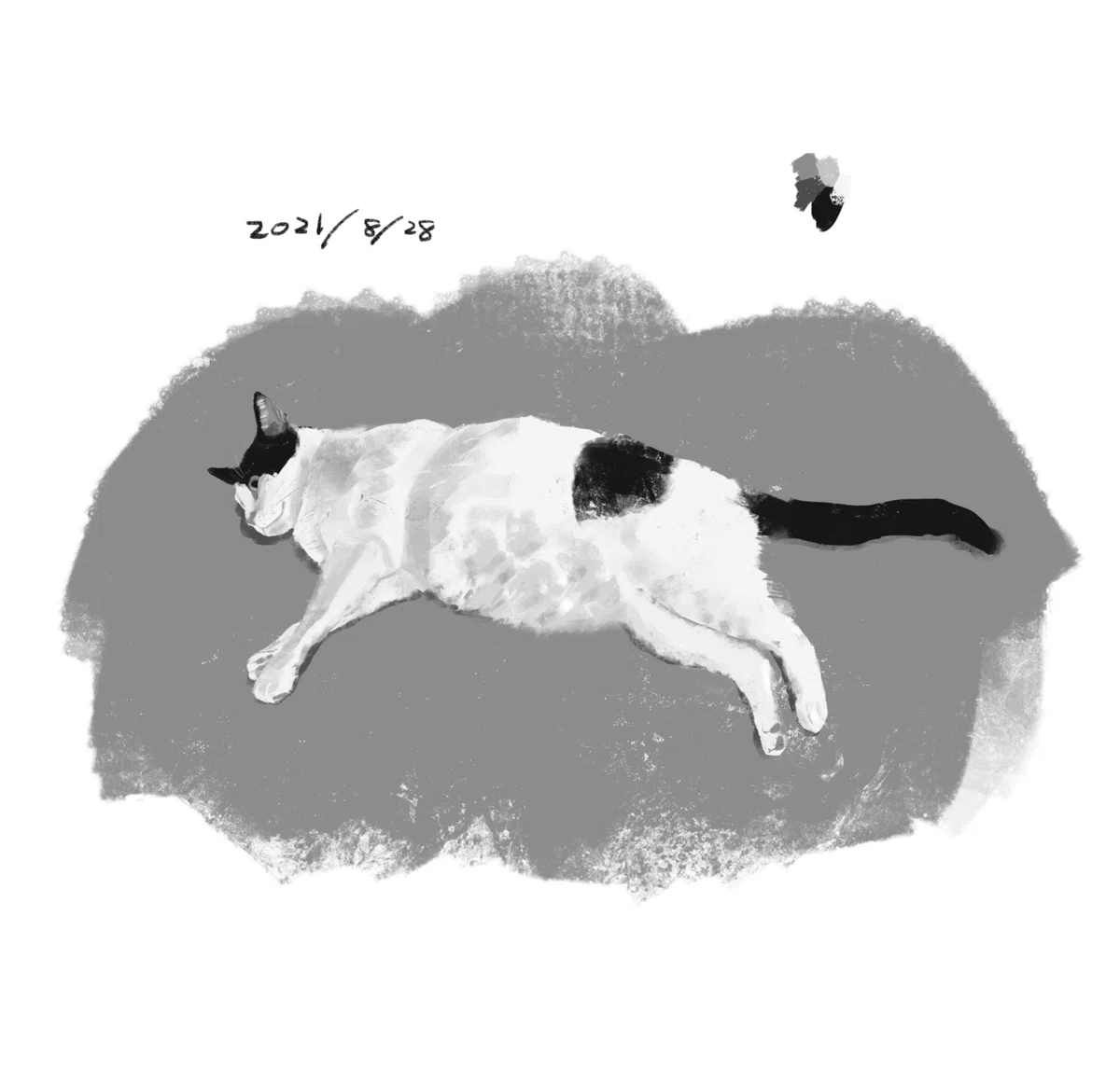 画像7