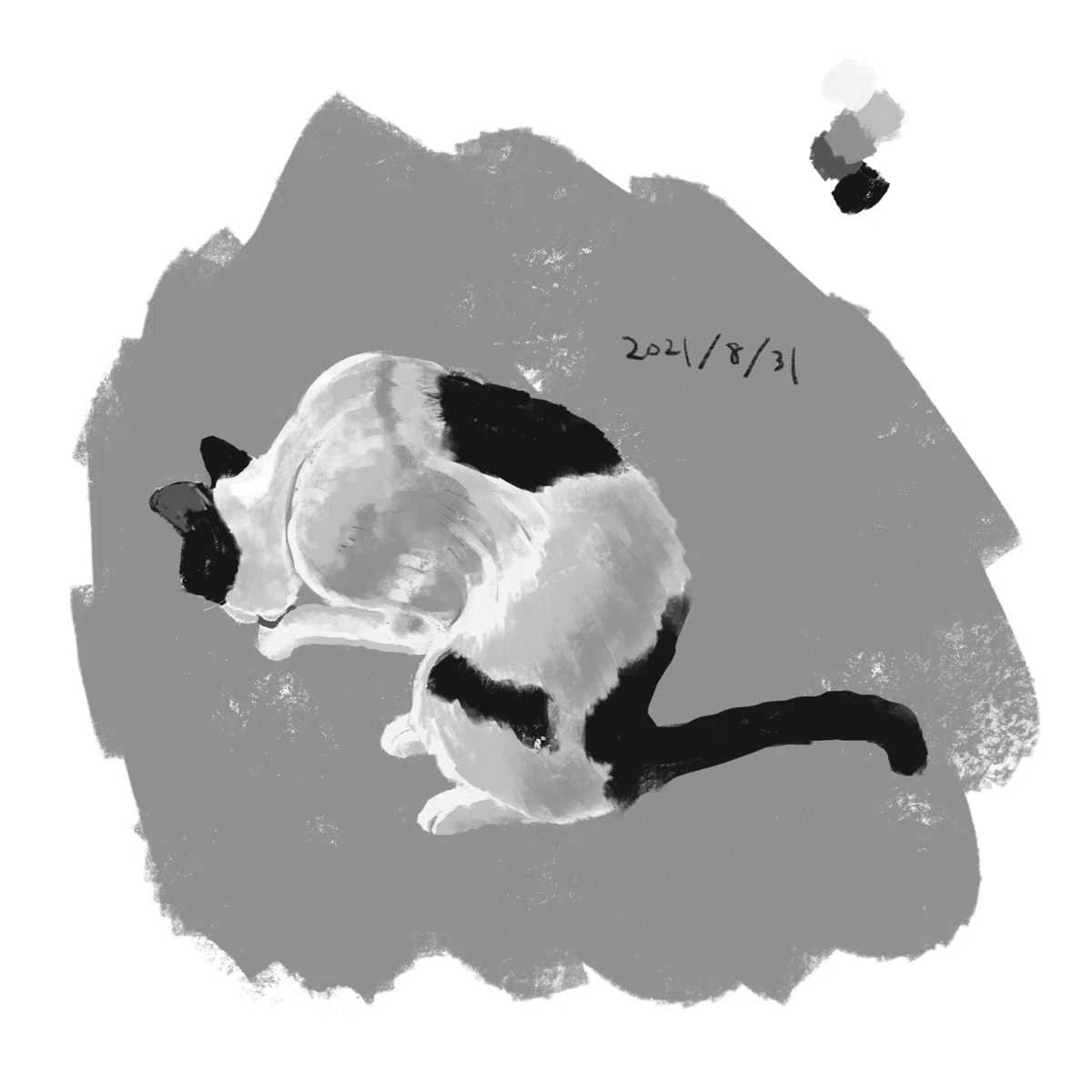 画像8