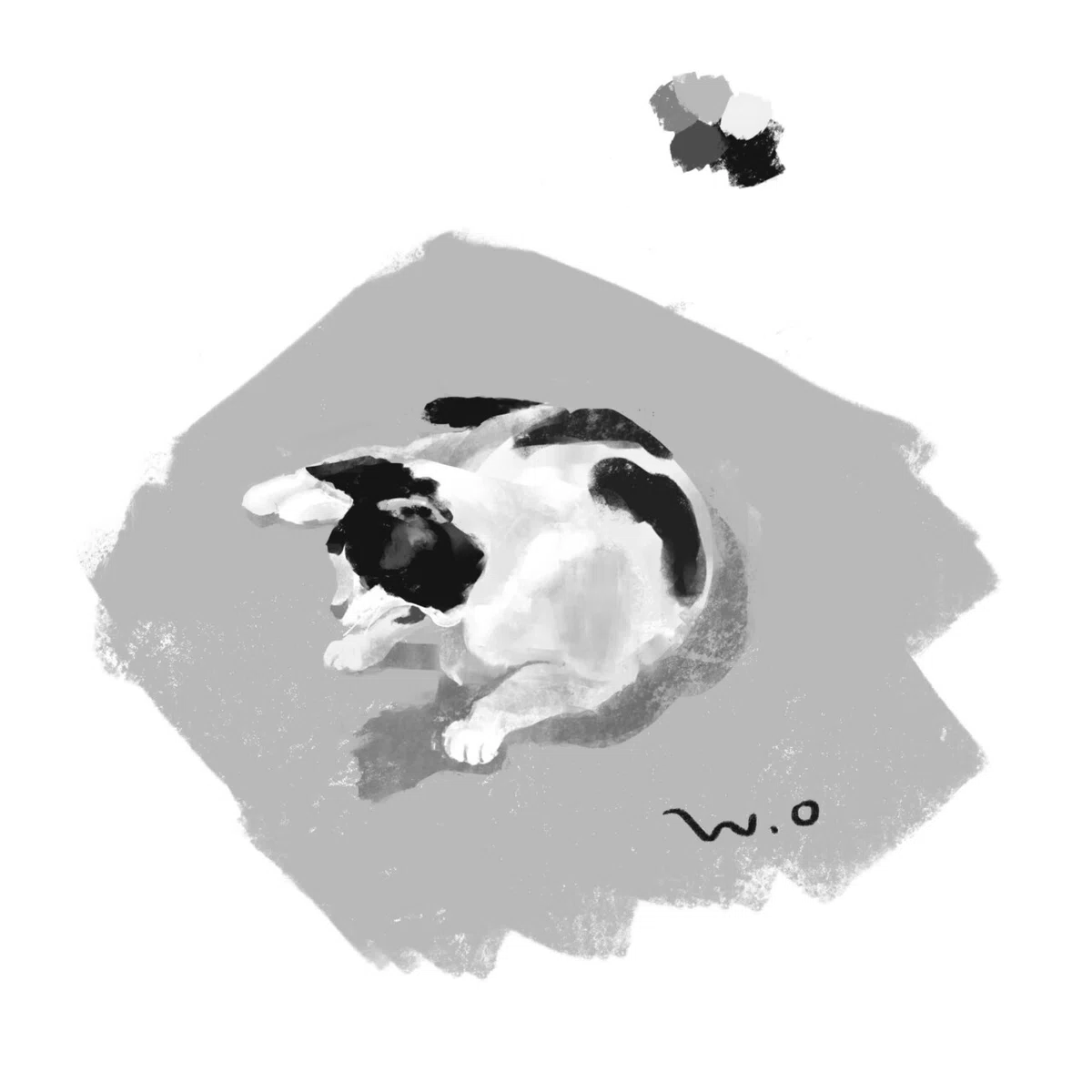 画像14