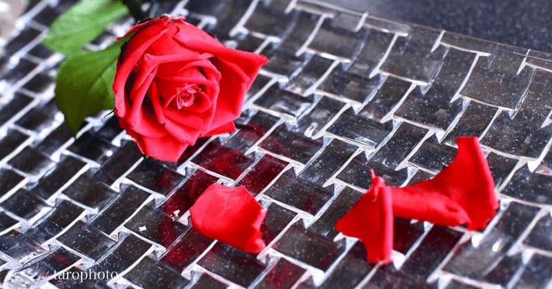 今日はあなたに、赤い薔薇を贈りたい。