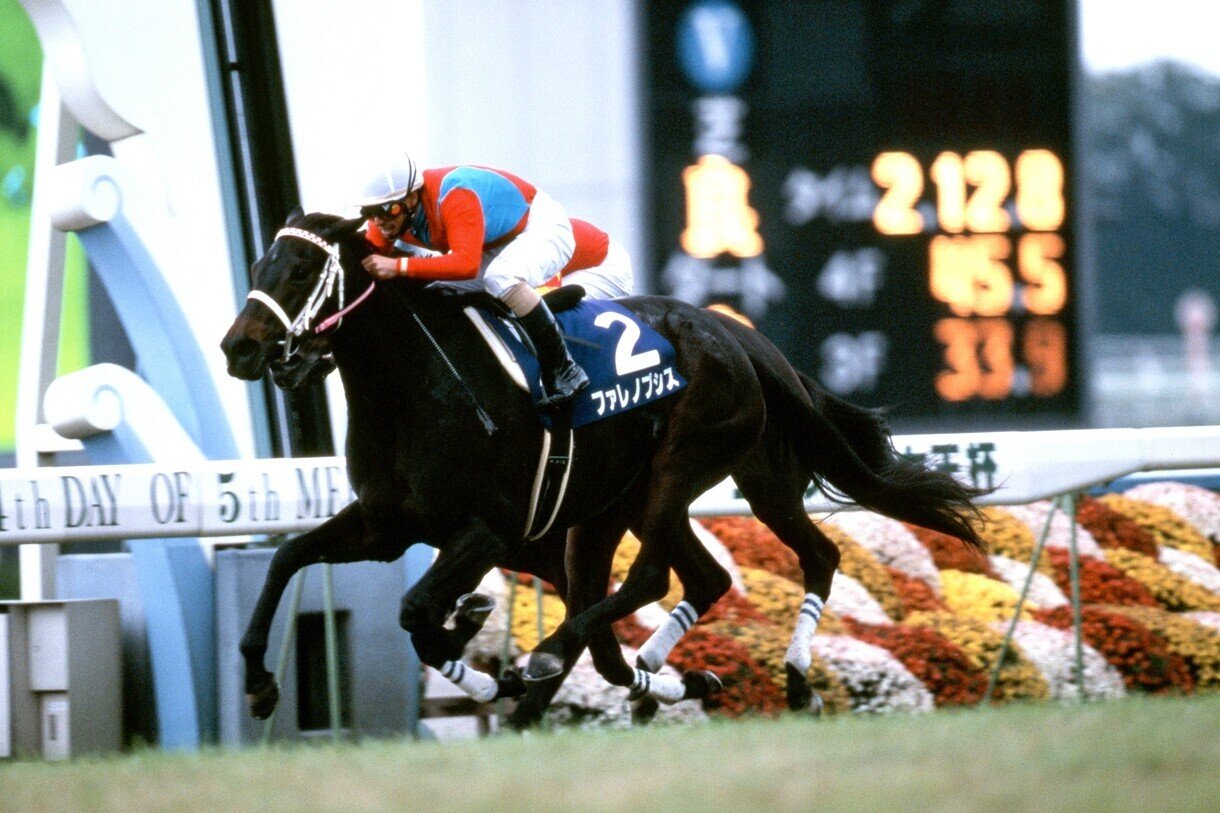 ヒシアマゾン　第１５回　ジャパンカップ ヒシアマゾン 1995年 第15回ジャパンカップ(GI) (優勝馬：ランド