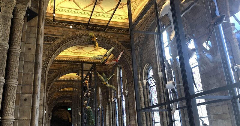 イギリス Ymsめもらんだむ ロンドン自然史博物館 後半 ゆんゆき Note